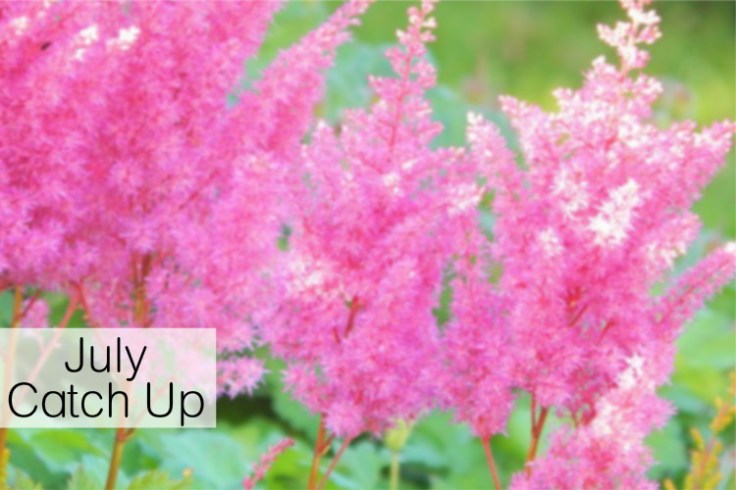 A spin on my usual monthly "plans and goals", this month I will be sharing what I've been up to, what's to come and how I've been doing with my health.